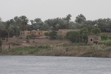 The Nile platform