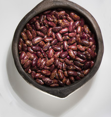 Phaseolus vulgaris Cranberry Group - Variedade de lima bean