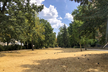 Trockenheit, Rasen, Park 