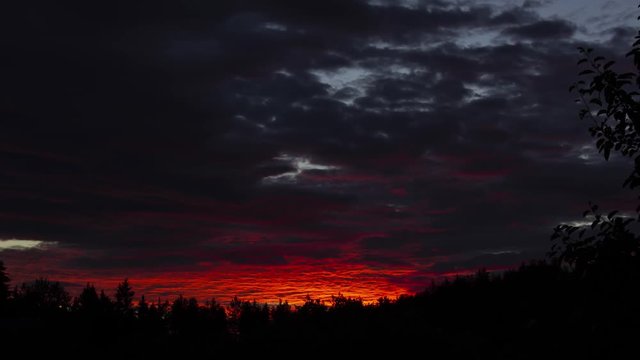 Sunset time lapse. Dramatic sky with moving clouds behind silhouette of trees, in rural Sweden. Camera zoom out.