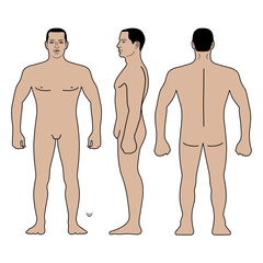 Fashion man figure