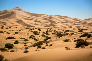 Mar de dunas © Xevi Vilaregut