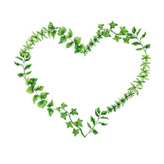 Elegance green branches heart frame isolated on white background. Hand drawn watercolor illustration.