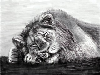 et le lion ne s'y est pas aventuré - Job 28:8 - Bible