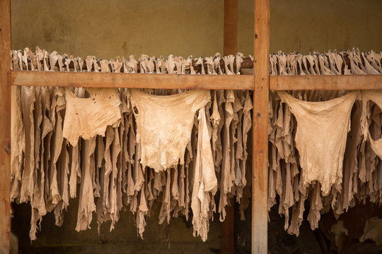 Manufactura de la piel en la Medina de Fez