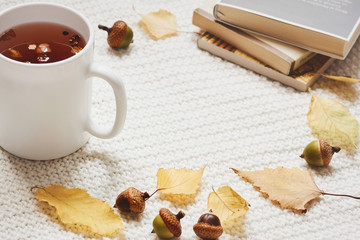 Fall composition. Cup of hot berry tea, yellow autumn leaves, acorns and pile of books on white knitted background