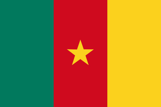 Flag of Cameroon