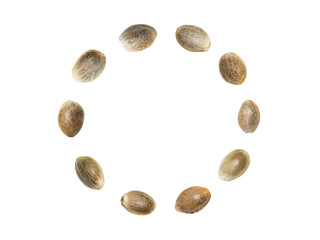 Close up of hemp seeds arranged in a circle isolated on white background