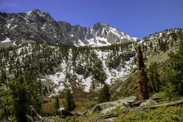 Fototapeta na wymiar Sierra Nevada Mountain View