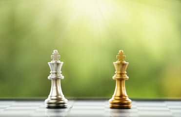 chess piece on green background