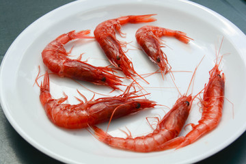 red shrimps