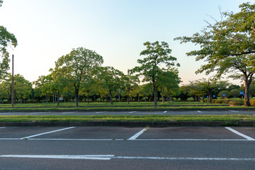 Parking lot of Showa Memorial Park in Tachikawa-city, Tokyo, Japan © 政昭 大橋
