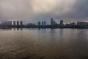 Fototapeta premium Fog