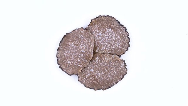 Top view from above of black truffle slices slowly rotating on the on the turntable. Isolated on the white background. Closeup. Macro.