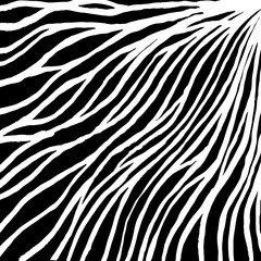 Fototapeta na wymiar White and black grunge pattern. Background. Brush. Vector.