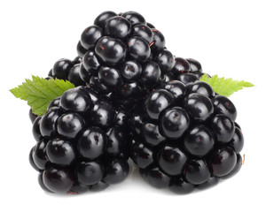 Blackberries isolated on white. Macro