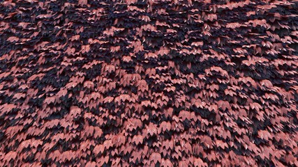 Leaf / Foliage Background