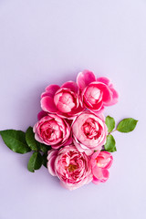 nice pink roses