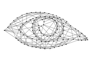 Open female eye of monochrome vector illustration from futuristic polygonal black lines and dots. Vector illustration.