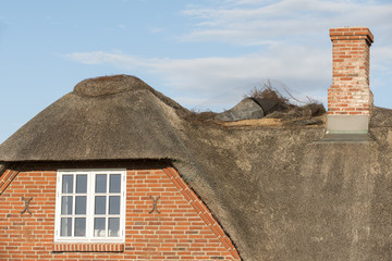 Sturmschaden an Reetdach 1