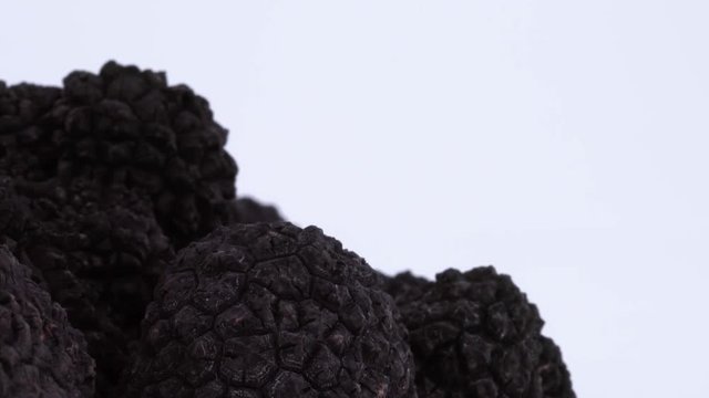 Macro closeup of a black truffles bunch. Rotating on the on the turntable. Isolated on the white background.