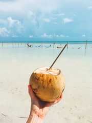 Coconut and beach Isla Holbox Mexico