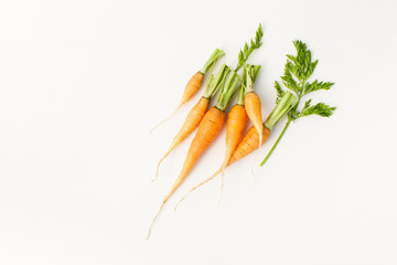 Young washed carrots with tails on white background