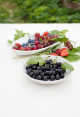 Strawberry, currant, gooseberry, cherry, raspberry on white background with leaves
