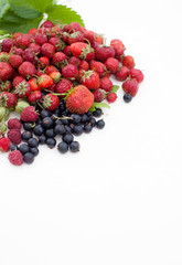 Strawberry, currant, gooseberry, cherry, raspberry on white background with leaves