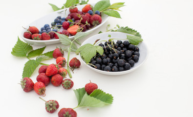 Strawberry, currant, gooseberry, cherry, raspberry on white background with leaves