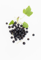 Berries of black fragrant currant with leaves on a white background