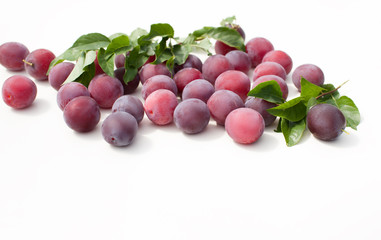 Fresh plum with leaves on white background