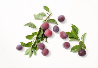 Fresh plum with leaves on white background
