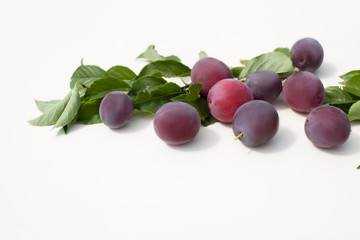 Fresh plum with leaves on white background