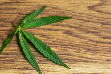 cannabis leaf on old wooden table