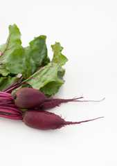 Young beetroot with leaves on white background