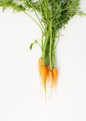 Young washed carrots with tails on white background