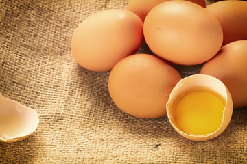 chicken eggs closeup