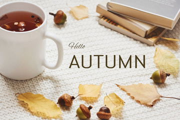 Fall composition with sing hello autumn. Cup of hot berry tea, yellow autumn leaves, acorns and pile of books on white knitted background