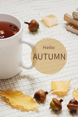 Fall composition with sing hello autumn. Cup of hot berry tea, yellow autumn leaves, acorns and pile of books on white knitted background