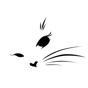 cat face logo vector illustration