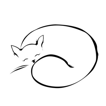 Sleeping cat line vector illustration