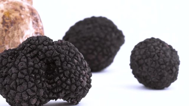 Macro of small black truffles with blurred whole large white truffle. Rotating on the on the turntable isolated on the white background. Closeup.