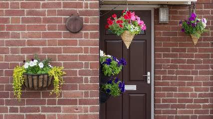House door with hanging flower baskets - Powered by Adobe