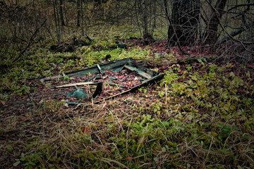 The broken boat in the forest