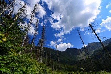 Western Tatras National Park