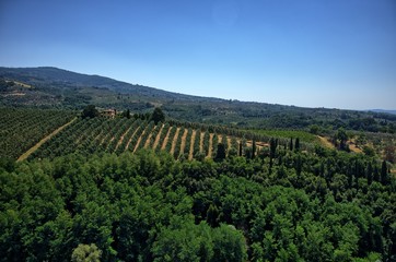 Fototapeta na wymiar italian landscape with trees