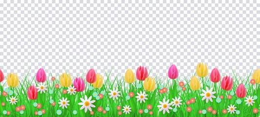 Green meadow grass, tulip daisy flowers border frame, template on transparent background. Spring summer sale template for retail poster and advertising design wtih text space. Vector illustration