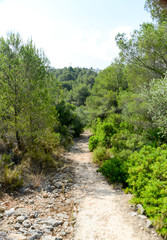 Fototapeta na wymiar Wanderweg Region Valencia