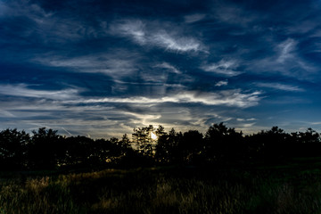 Fototapeta na wymiar Brooding sky behind a row of dark trees.